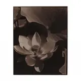 Lotus, Mt. Kisco, New York by Edward Steichen, Gelatin silver print (on later mount), sold Jun 2020