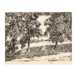 Three Hickories by Childe Hassam, Etching on laid paper, sold Jun 2020