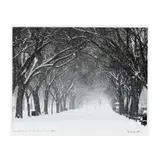 Snowstorm on the National Mall by Will Scott, 2011, Color photograph, sold May 2020