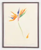 A tropical flower by Donna Marxer, Mixed media on paper, sold Mar 2022