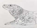 Vanishing animals, Komodo monitor by Andy Warhol, 1986, Peinture polymère sur papier, sold Dec 2023