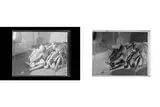 Untitled by Francis Bruguière, photograph, offered Mar 2019