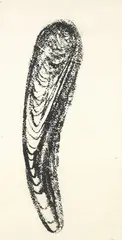 Uten tittel by Ludvig Eikaas, print (other), sold Oct 2026