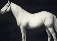 Study of a Horse by Joseph Piccillo, 1978, graphite on Strathmore paper, sold May 2025