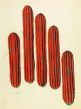Cactus by Man Ray, 1945, Gouache sur papier, sold Jun 2009