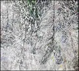 North Shore Winter by Gordon A. Smith, 2011, acrylic on canvas, sold Nov 2015