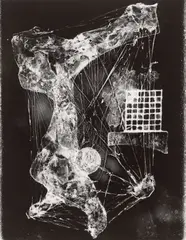 Vergänglichkeit by Heinz Hajek-Halke, Um 1956, Vintage. Silbergelatineabzug, sold Jun 2021