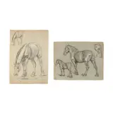 Two Studies of Draft Horses by John Lewis Shonborn, Charcoal and whitening on paper, sold Apr 2020