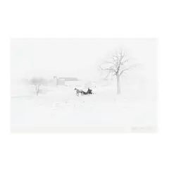 Horse and Buggy, Winter, Lancaster, Pennsylvania by George Tice, Gelatin silver print on card, sold Mar 2020