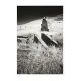 Serria Foothills, California by Barry Root, Black and white photograph, sold Feb 2020