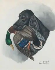 Cocker et colvert by Jean Herblet, Aquarelle sur papier signée en bas à droite et encadrée Dim, sold Mar 2015