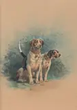 Deux chiens de vénerie by Charles-Fernand de Condamy, Aquarelle sur papier signée en bas à gauche et encadrée Dim, sold Mar 2015