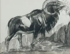 Mouflon by Paul Jouve, Crayon, encre de chine et lavis d'encre de chine, sold Mar 2015