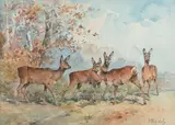 Les chevreuils by Maurice Bedel, Aquarelle sur papier signée en bas à droite et encadrée Dim, sold Mar 2015