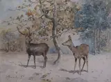 Cerf et biche en sous bois by Maurice Bedel, Aquarelle sur papier signée en bas à gauche et encadrée Dim, sold Mar 2015