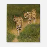 Pair of Servals by Patricia Taynton, 1982, gouache and graphite on paper, sold Nov 2023