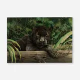 Black Jaguar by Patricia Taynton, 1985, gouache on paper, sold Nov 2023