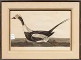 Untitled by Peter Mazell, engraving, sold Sep 2026