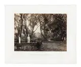 Buen-Ventura - Savanah - Circa 1866 by Georges N. Barnard, Épreuve sur papier albuminé, contrecollée sur carton, sold Oct 2022
