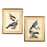 Two Ornithological Prints by Prideaux John Selby, Hand-colored engravings, sold Jul 2019