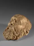 Masque mortuaire de Victor Hugo by Amédée-Paul Bertault, Plâtre patiné, sold Mar 2022