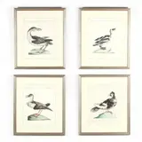 Four Ornithological Prints by Saverio Manetti, Hand-colored engravings, sold Jun 2019