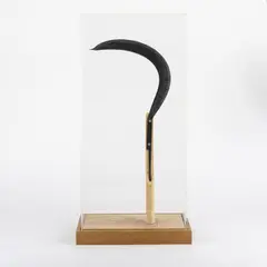 Sense by Enzo Mari, 1989, Eisen, schwarz, farbloses Plexiglas, Eichenholz (Danese, Mailand), sold Jun 2022