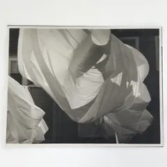 Billowing Sheets by Ralph Steiner, 1960, printed 1980, gelatin silver print, sold Mar 2026