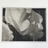 Billowing Sheets by Ralph Steiner, 1960, printed 1980, gelatin silver print, sold Mar 2026