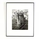 Crown of Thorns by George Schober, Gelatin silver print, sold Apr 2019
