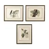 Three Prints from The Natural History of Carolina, Florida and the Bahama Islands by Mark Catesby, Hand-colored engravings on laid paper, sold Mar 2019