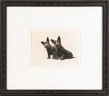 of two Scottie dogs titled When Do We Eat? by Morgan Dennis, engraving, sold Apr 2011