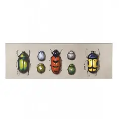 Beetle Specimens by Chris Clark, Oil on canvas, sold Nov 2018