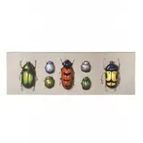 Beetle Specimens by Chris Clark, Oil on canvas, sold Nov 2018
