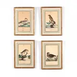 Suite of Four Avian Watercolors by William Goodall, Each of ink and colors on paper, sold Jun 2018