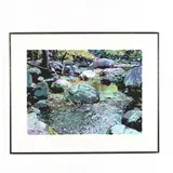 Autumn Pool by Fred Nichols, Silkscreen in colors, sold Mar 2018