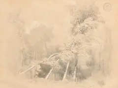 Árbol caído by Francisco Pradilla y Ortiz, Dibujo a carboncillo y clarión, sold Sep 2026