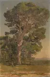 Paisaje by José Moreno Carbonero, Óleo sobre lienzo, sold Sep 2026