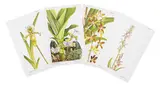 Orchis sancta, Paphiopedilum exul, Ansellia africana y Lycaste candida by Pandora Sellars, 1950, Cuatro grabados cromolitografiados (cuatro), sold Jun 2026