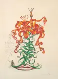 Lilium Aurancacium et Labra Barocantia (Flores Surrealistas) by Salvador Dalí, 1972, Aguafuerte, Punta Seca y Heliograbado sobre papel Arches, sold Dec 2024