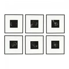 Ghost (Complete Series of 6) by Juan Logan, Six solar plate etchings, sold Jan 2018
