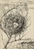 El nido by Benjamín Palencia, 1971, Tinta sobre papel, sold Oct 2022