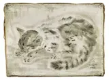 Chaton endormi by Léonard-Tsuguharu Foujita, 1926, Huile sur toile, sold Jun 2021