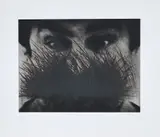 Autoportrait avec yeux et barbe by Arnulf Rainer, 1987, Eau-forte en noir, sold Nov 2021