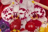 MASAI MURA ICE SHEET by Marc Quinn, 2009, Huile sur toile, sold Jul 2020