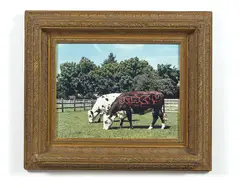 Raising the Steaks by Banksy, 2001, Photographie d'une oeuvre de Banksy par Steve Lazarides encadré par Banksy, sold Feb 2020