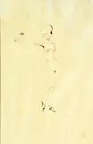 Senza titolo by Enrico Colombotto Rosso, sold Sep 2018