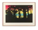 Big Sur by Peter Doig, 2001/2002, Eau-forte et aquatinte en couleurs, sold May 2019