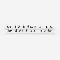 Turisti by Maurizio Cattelan, 1997, taxidermied pigeons, in 23 parts, sold Oct 2026