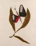 Feuilles et papillon by Jean Lurçat, Gouache sur papier, sold Mar 2018